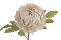 chryzantéma 51 cm - krémová vintage