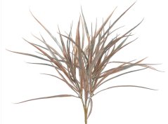dracena x7 -  šedozelená/bronzová