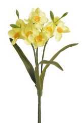 trs narcisů 40 cm - žlutá