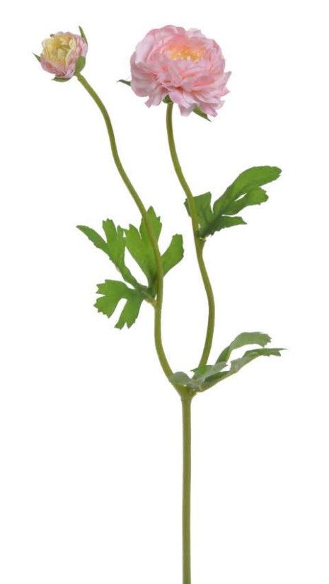 ranunculus s poupátkem 39 cm - růžová