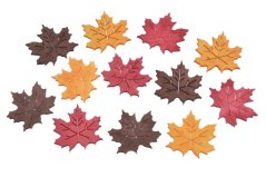 podzimní listy, výsek (12 ks)
