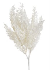 túje 41 cm - bílá
