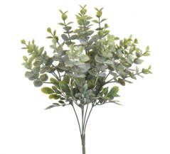 eukalyptus trs x5 35 cm - zelená