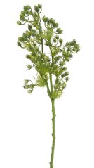 hypericum 59 cm - zelená