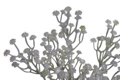 gypsophila 29 cm - šedá