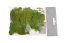 moss extra (100 g), islandský mech - sv. zelený