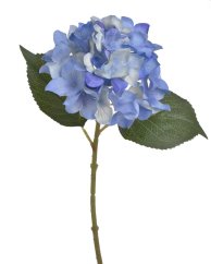 hortenzie 37 cm - modrá