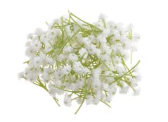 gypsophila - šater - květy (stonek 4 cm) - bílá