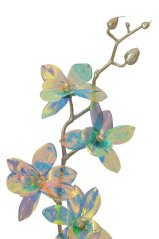 OPALIZZE orchidea 48 cm – iridescentná modrá