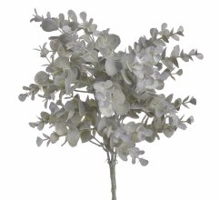 eukalyptus 35 cm - šedozelená