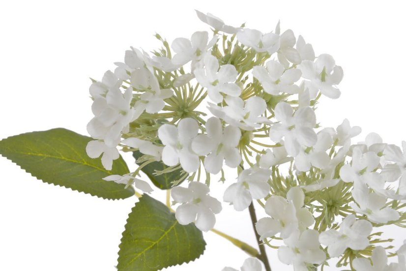 hortenzie větvička 63 cm - bílá