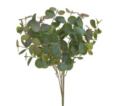 eukalyptus trs - zelená tm.