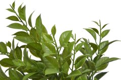 umělý ruscus - zelená