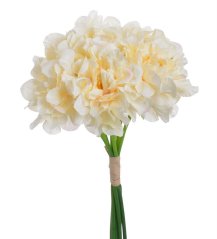 jiřina 28 cm, trs (7 ks) - krémová