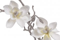 zasněžená magnolie 62 cm - bílá