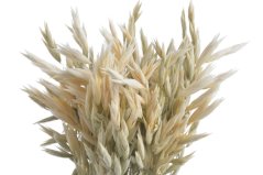 oves natural (70g)