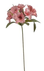 alstromélie x7 - růžová