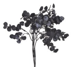 eukalyptus trs x5 - černý