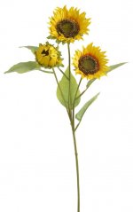 slunečnice se třemi květy 70 cm - žlutá
