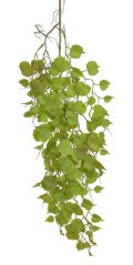 převis  réva 105 cm - zelená