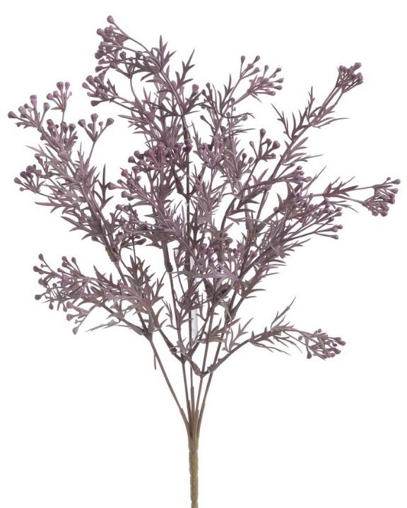 broom bloom x5 - švestková