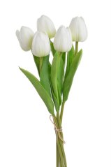 tulipán pěnový (5 ks) - bílá se zeleným nádechem