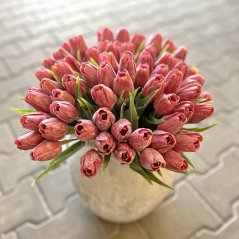 tulipán s listem (6 ks) - červená