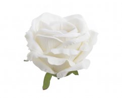 růže velvet - hlavičky (6 ks) - smetanová bílá