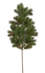 větvička jehličí 60 cm