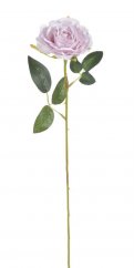 růžička 52 cm - lila