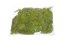 moss extra (100 g), islandský mech - sv. zelený
