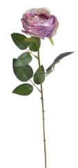 růže 62 cm - růžová