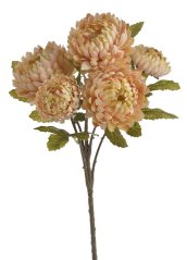 chryzantéma 46 cm - světlá meruňková