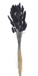 lagurus 30 g - černá
