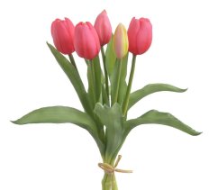 svazek tulipánů (5 ks) - růžovočervená