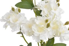 větvička s 15 květy a poupaty - bílá