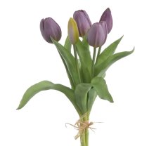 svazek tulipánů (5 ks) - tm. fialová