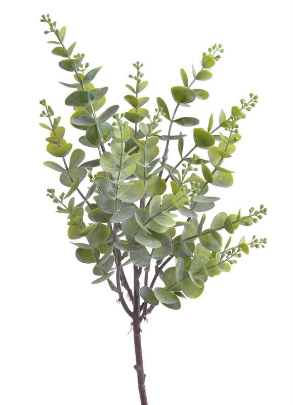 eukalyptus 45 cm - zelená