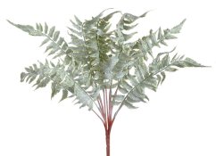 kapradí 45 cm - mint
