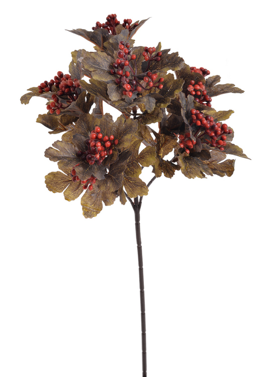 trs listí s bobulkami - šedožlutá/červená