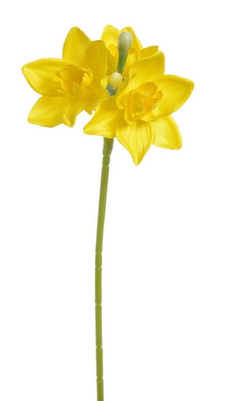 narcis 36 cm - žlutá
