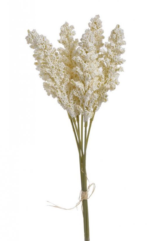 amaranthus svazek - krém