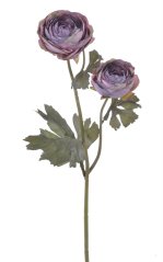 pryskyřník 50 cm - fialová