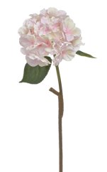 hortenzie 59 cm - světlá růžová