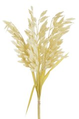 plochoklásek (6 ks) - krémová