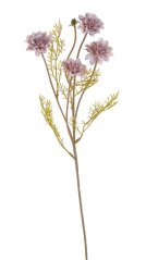 jiřina mini 47 cm - starorůžová