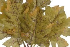 listy duby x5 - žlutozelená