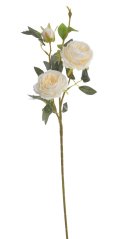 plnokvětá růže 65 cm - krémová