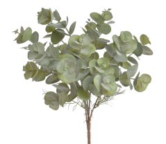 eukalyptus x6 - zelený
