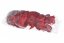 vlčí mák hlavičky (24 ks) - červená